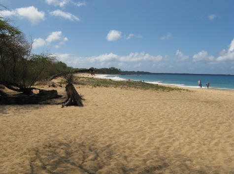 Big Beach near Makena Maui in Hawaii