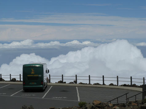 Coach Tours of Maui Hawaii