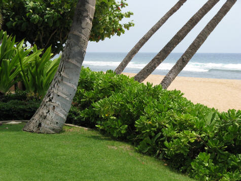 Dig Me Beach, Kaanapaili Maui