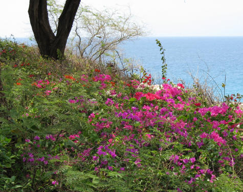 Parks & Gardens of Maui
