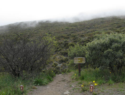 Trails in the Haleakala National Park