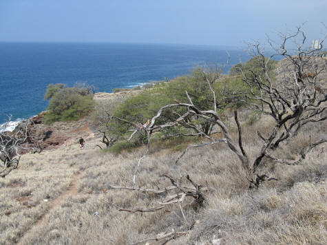 Hawaiian Islands