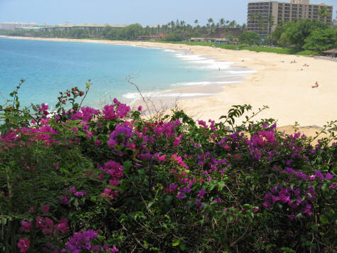 Kaanapali Beach Resort on the Island of Maui