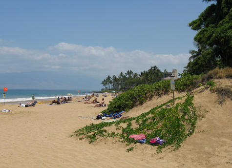 Kamaole Beach Park II on the Island of Maui in Hawaii