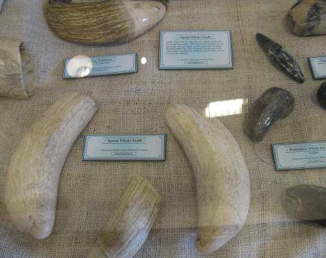 Lahaina Heritage Museum in Maui Hawaii