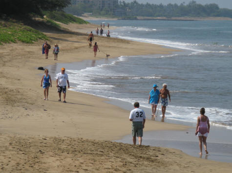 Public Transit on the Island of Maui