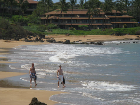 Introduction to Wailea Mau Hawaii