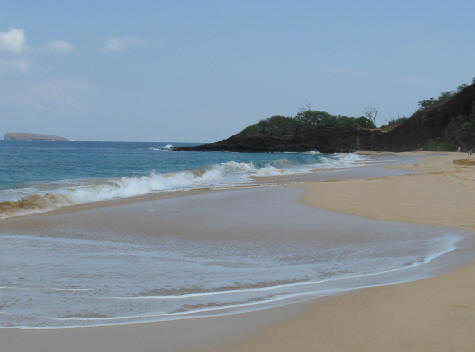 Wailea Ocean Front